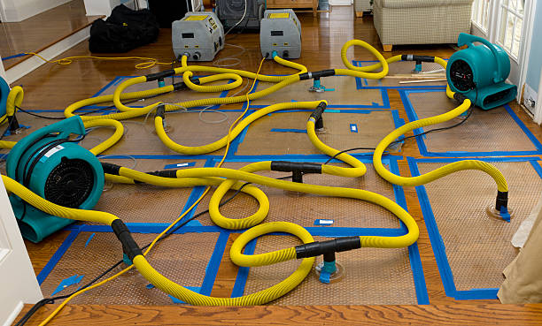 Professional Water Extraction technician working in Davisburg, MI